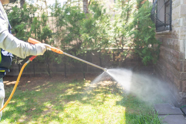 Indoor Pest Control in Elwood, KS